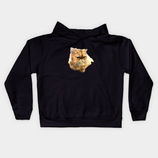 Persian Cat Purrrfection Kids Hoodie